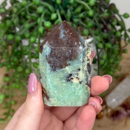 Chrysoprase Domino Point (Y809)
