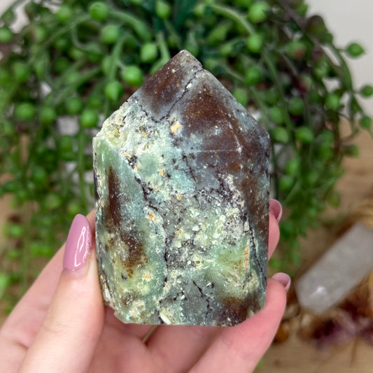 Chrysoprase Domino Point (Y815)