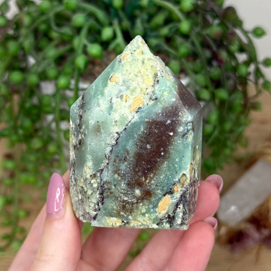 Chrysoprase Domino Point (Y814)
