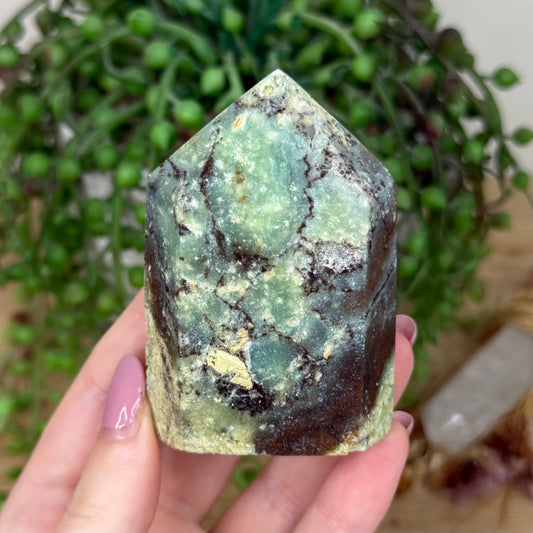 Chrysoprase Domino Point (Y816)