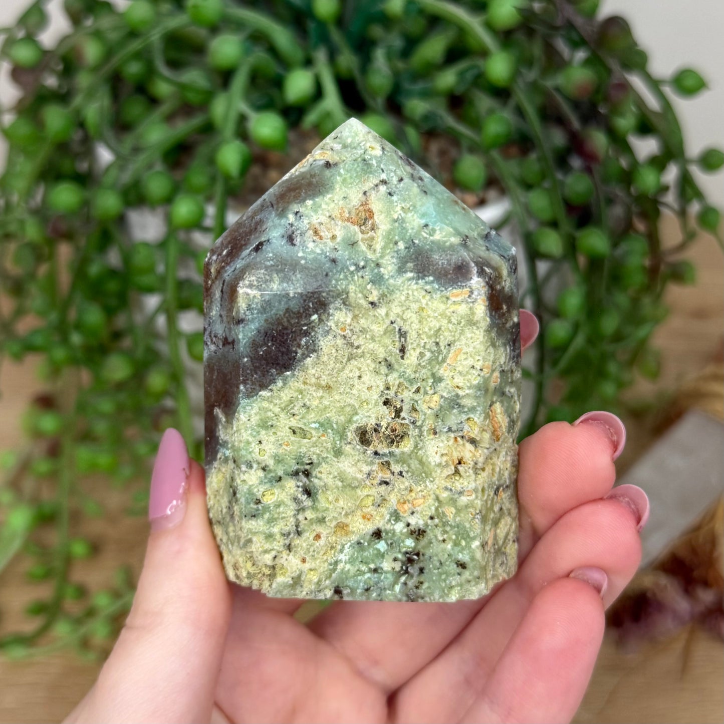 Chrysoprase Domino Point (Y816)