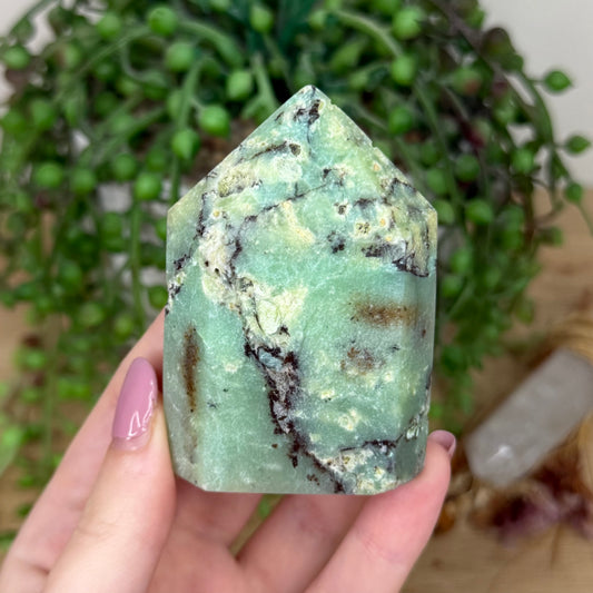 Chrysoprase Domino Point (Y810)
