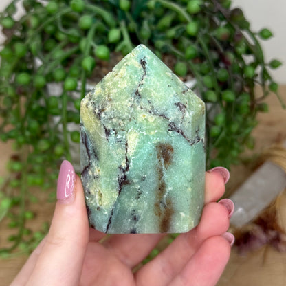 Chrysoprase Domino Point (Y810)