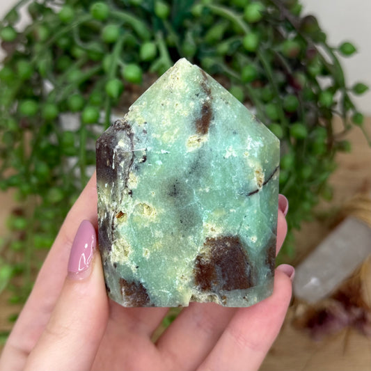 Chrysoprase Domino Point (Y811)