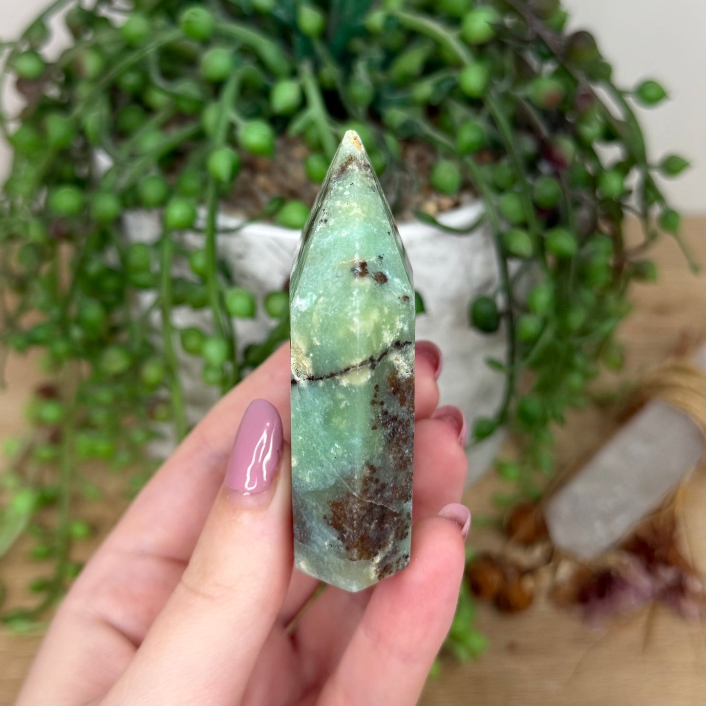 Chrysoprase Domino Point (Y811)