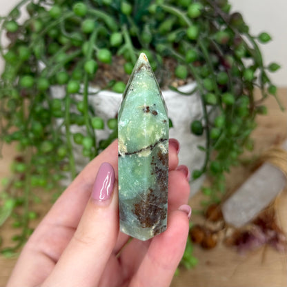 Chrysoprase Domino Point (Y811)