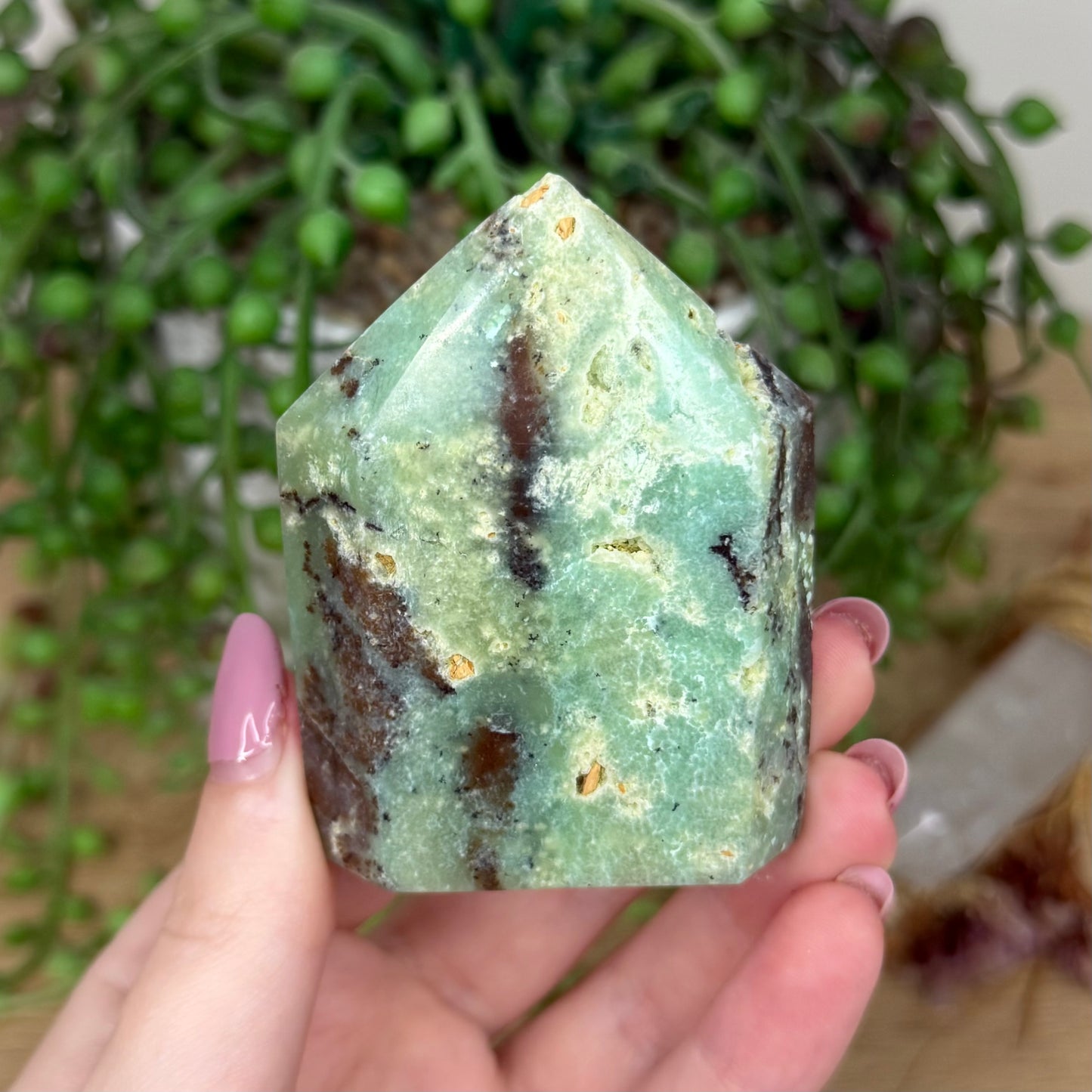Chrysoprase Domino Point (Y811)