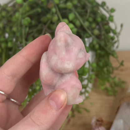 Pink Opal Cat (S558)
