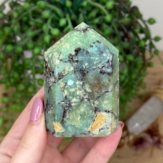 Chrysoprase Domino Point (Y813)