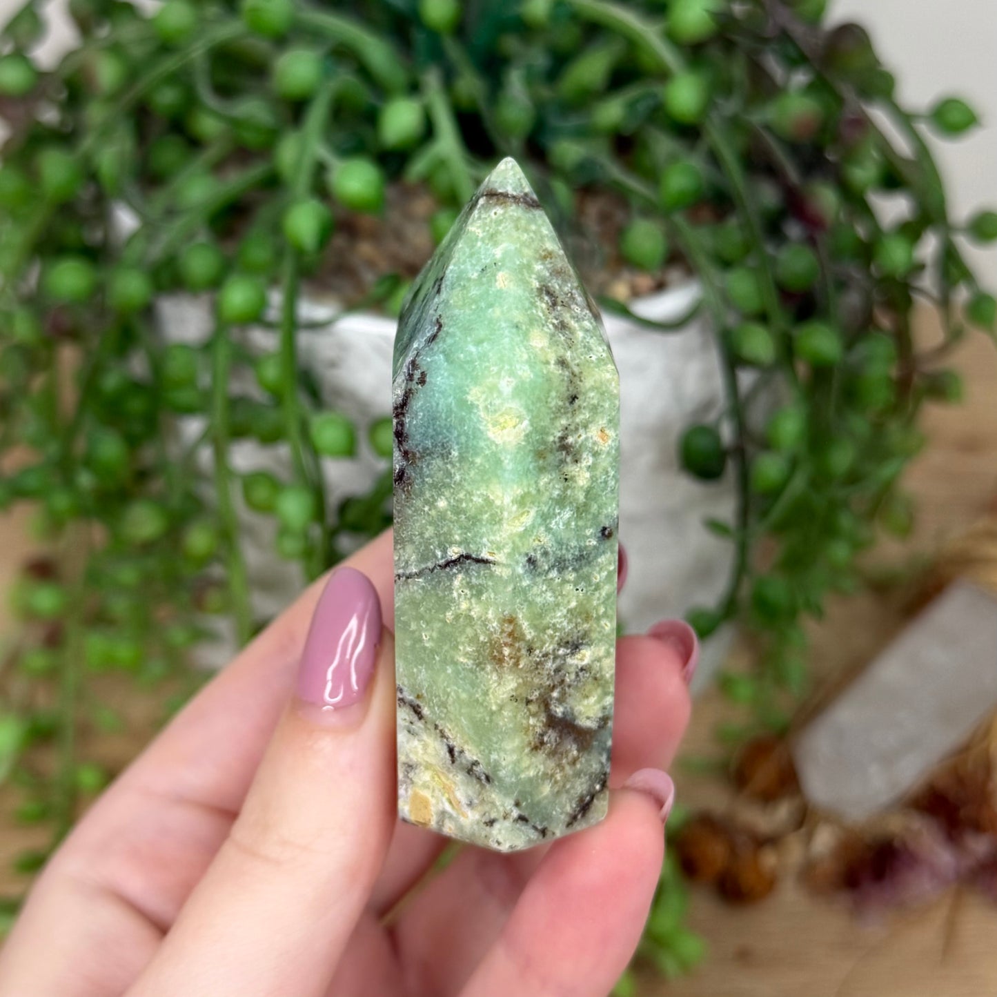 Chrysoprase Domino Point (Y813)