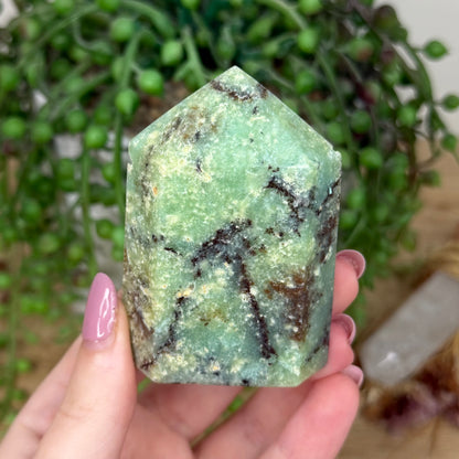 Chrysoprase Domino Point (Y813)
