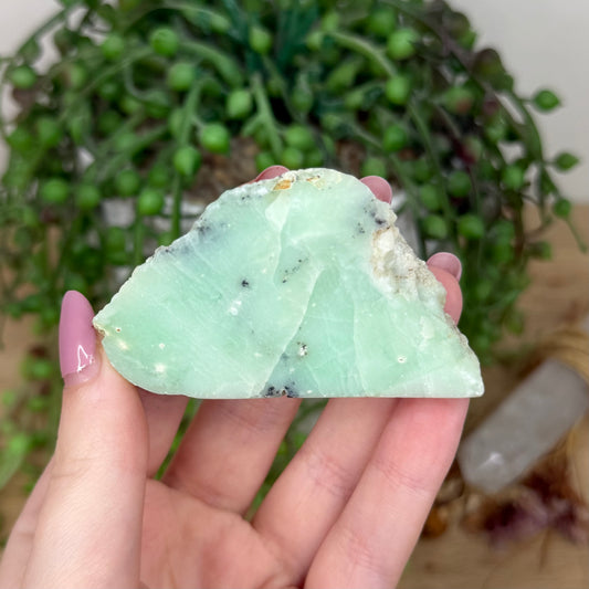 Chrysoprase Slab (Y829)