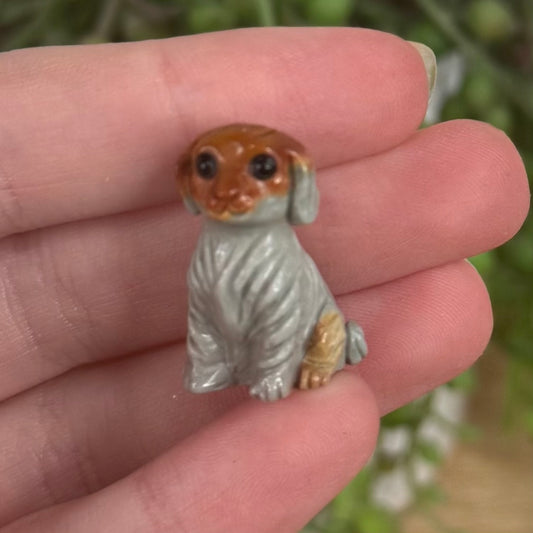 Alashan Small Dog 1