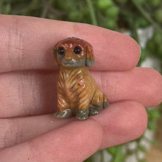 Alashan Small Dog 2