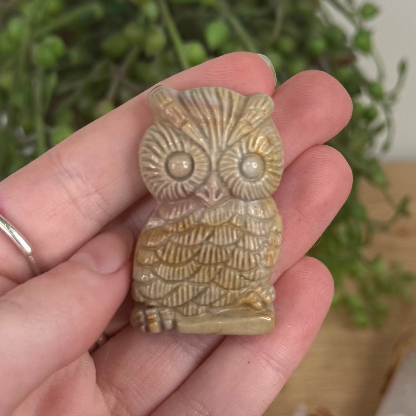 Alashan Owl (S568)