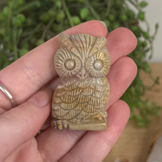Alashan Owl (S568)