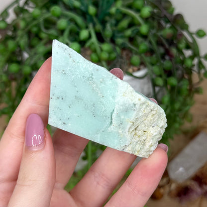 Chrysoprase Slab (Y824)