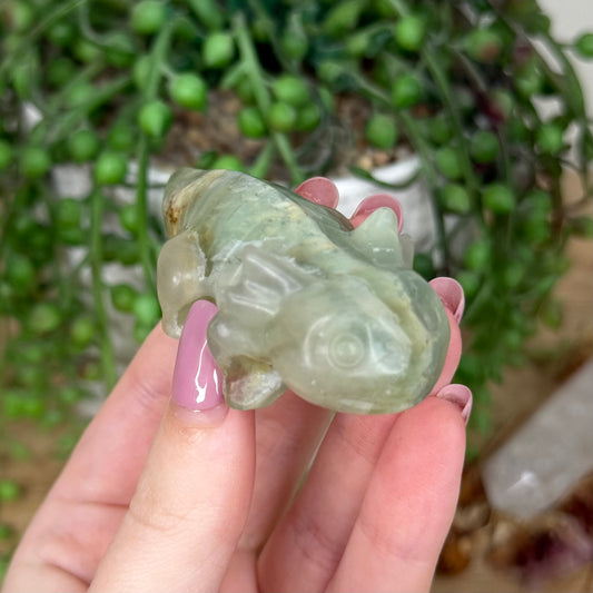 Green Fluorite Axolotl (Y434)