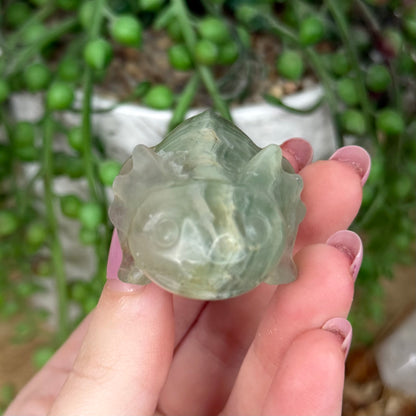 Green Fluorite Axolotl (Y434)