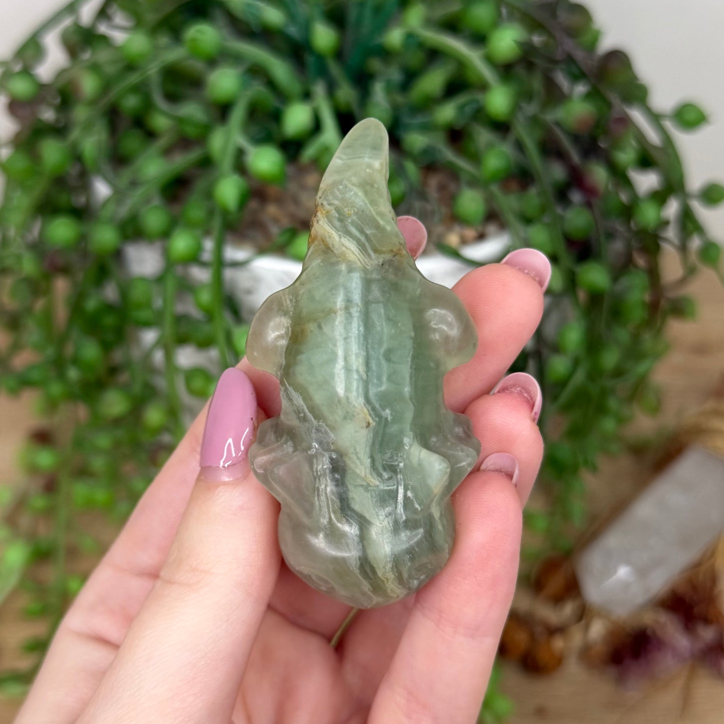Green Fluorite Axolotl (Y434)