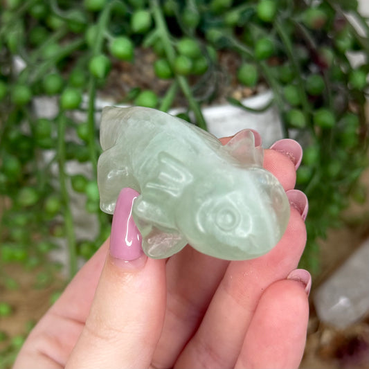 Green Fluorite Axolotl (Y435)