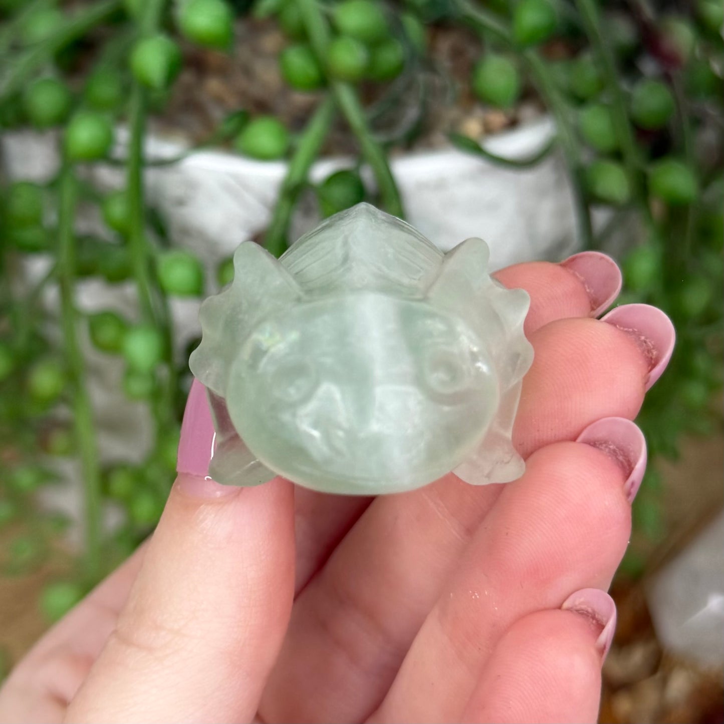 Green Fluorite Axolotl (Y435)