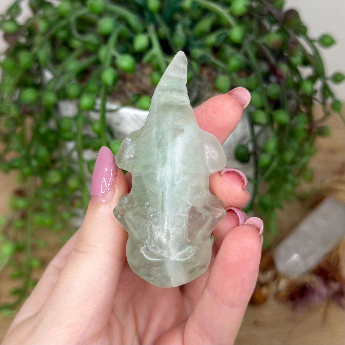 Green Fluorite Axolotl (Y435)