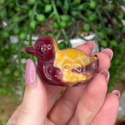 Mookaite Turtle Duck (Y866)