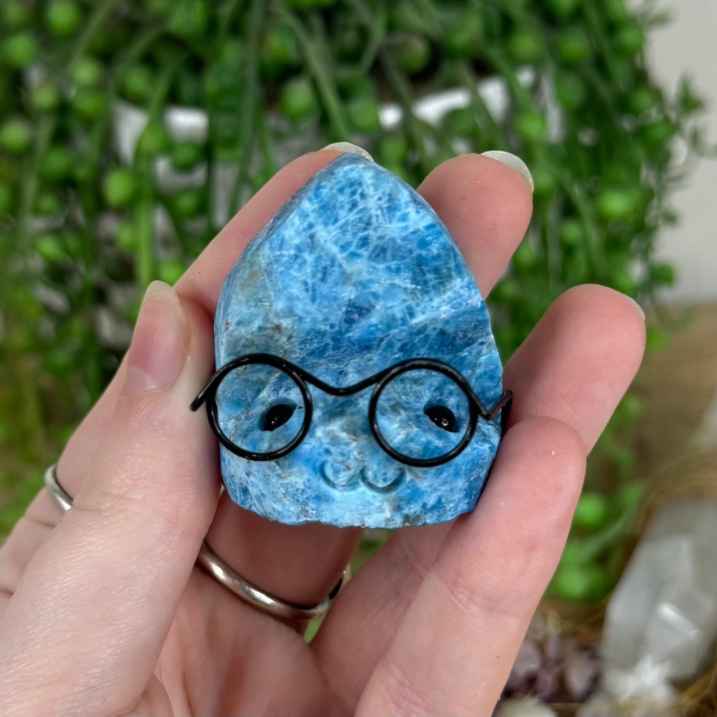 Blue Apatite Pet Rock (O288)