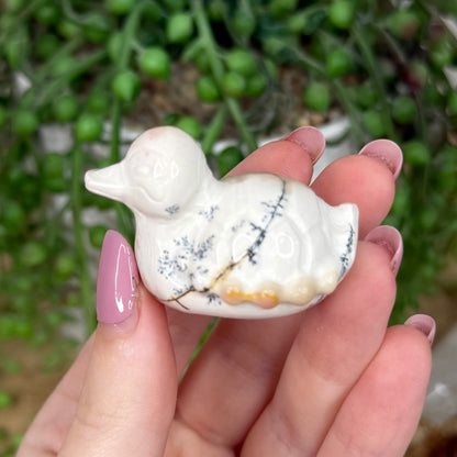 Mookaite Turtle Duck (Y868)