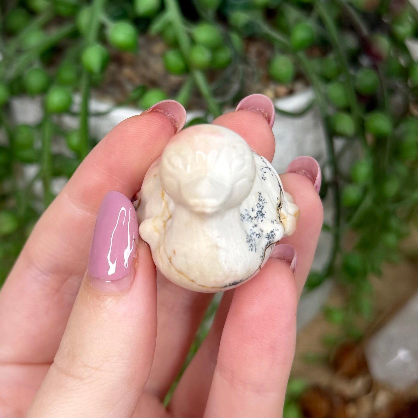 Mookaite Turtle Duck (Y868)