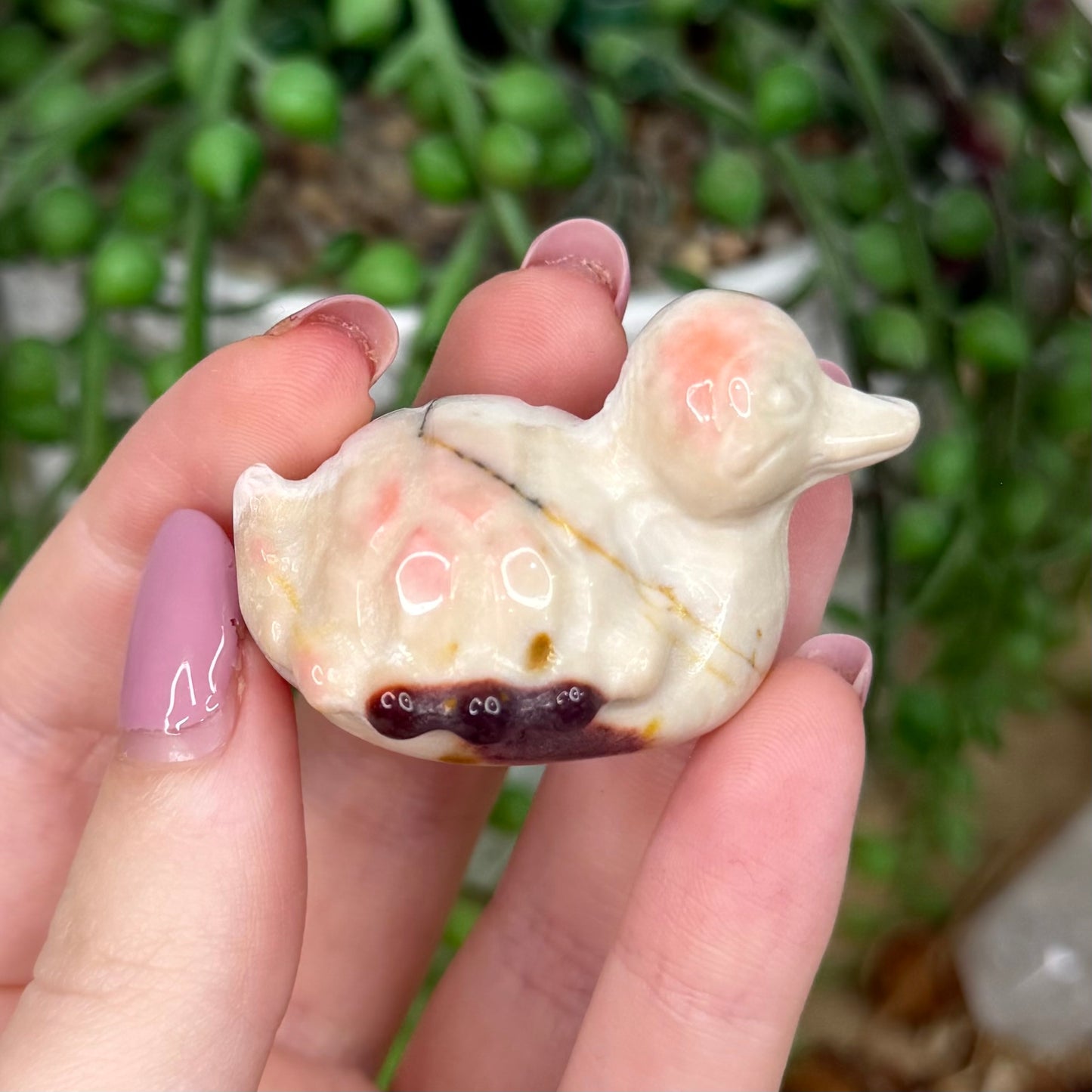Mookaite Turtle Duck (Y868)