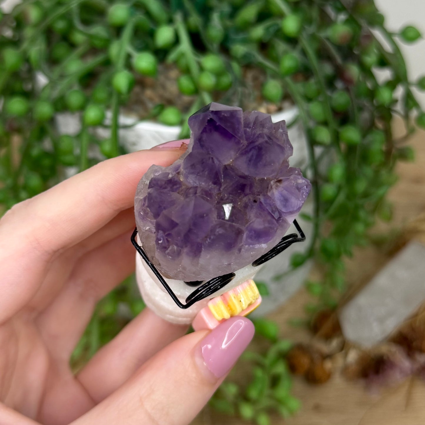 Amethyst Cluster Glasses Pet Rock (Y873)