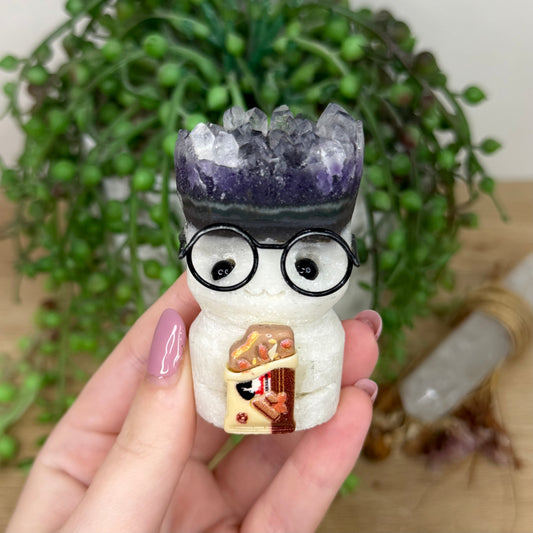 Amethyst Cluster Glasses Pet Rock (Y875)