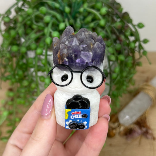 Amethyst Cluster Glasses Pet Rock (Y870)