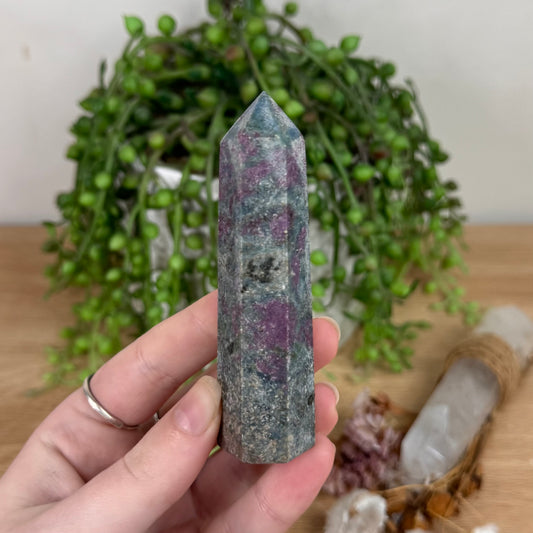 Ruby In Kyanite Point (S768)