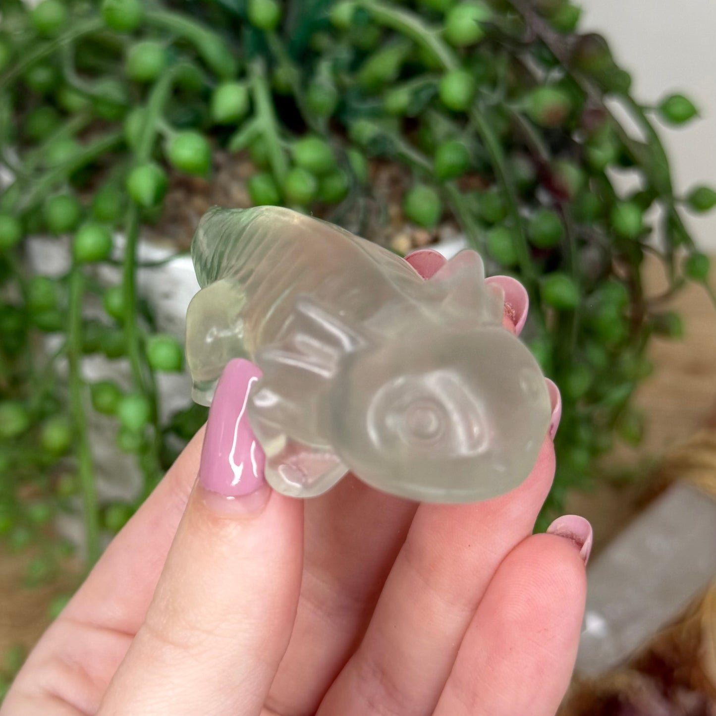 Fluorite Axolotl (Y436)