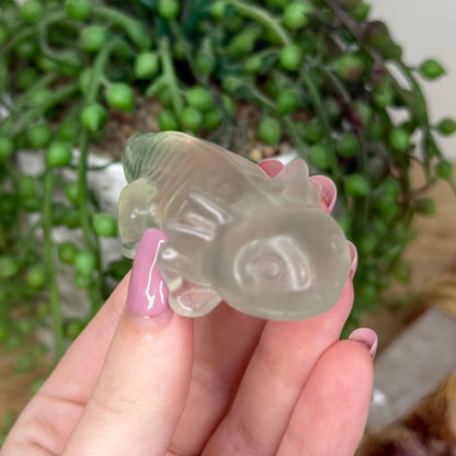 Fluorite Axolotl (Y436)