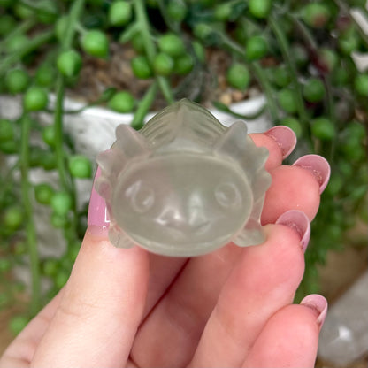 Fluorite Axolotl (Y436)