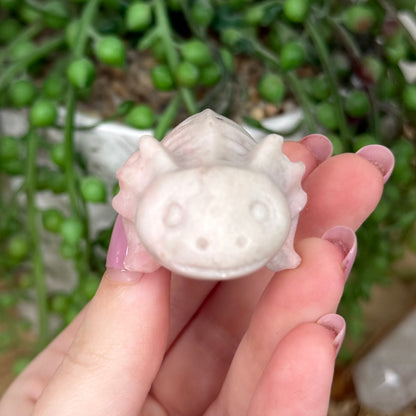 Pink Opal Axolotl (Y439)