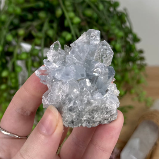 Terminated Blue Celestite Cluster (S704)