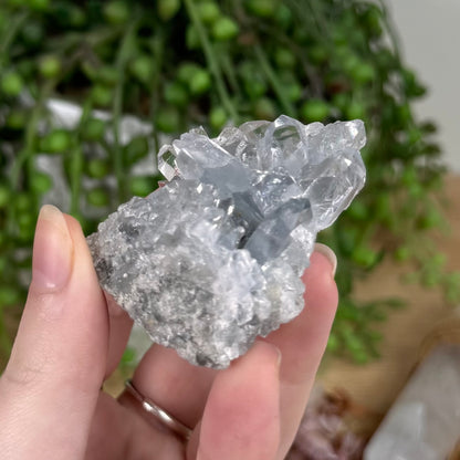 Terminated Blue Celestite Cluster (S704)