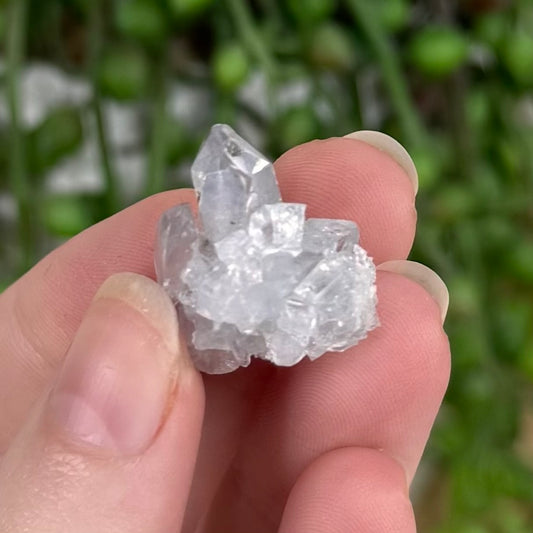 Terminated Blue Celestite Mini Cluster 1
