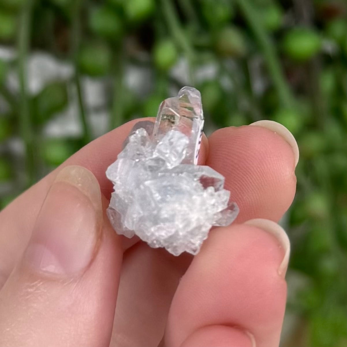 Terminated Blue Celestite Mini Cluster 1