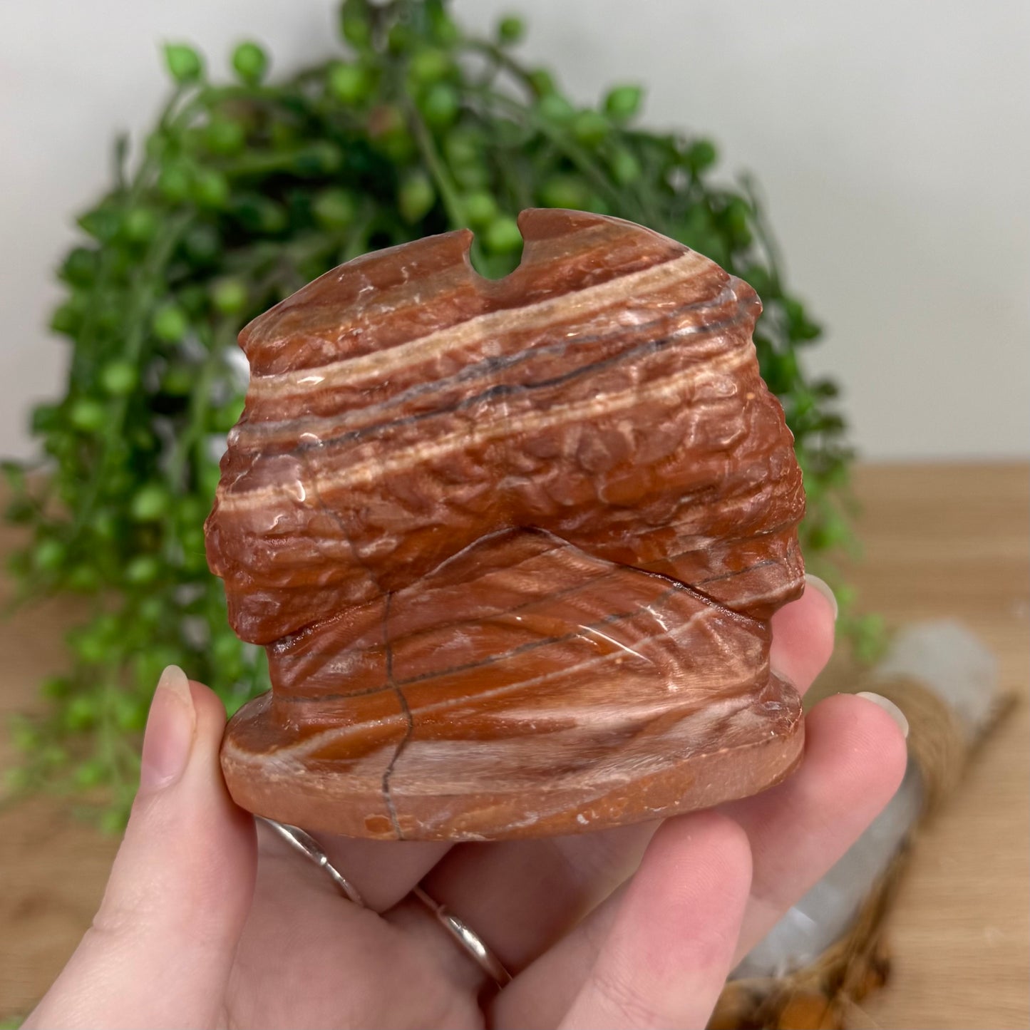 Red Jasper Twin Owls (S664)