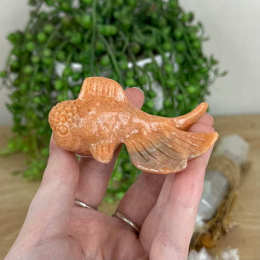 Sunstone Fish (O277)