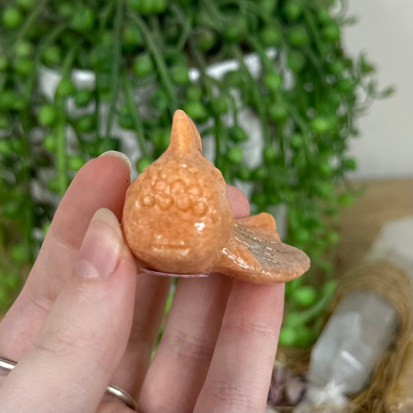 Sunstone Fish (O277)
