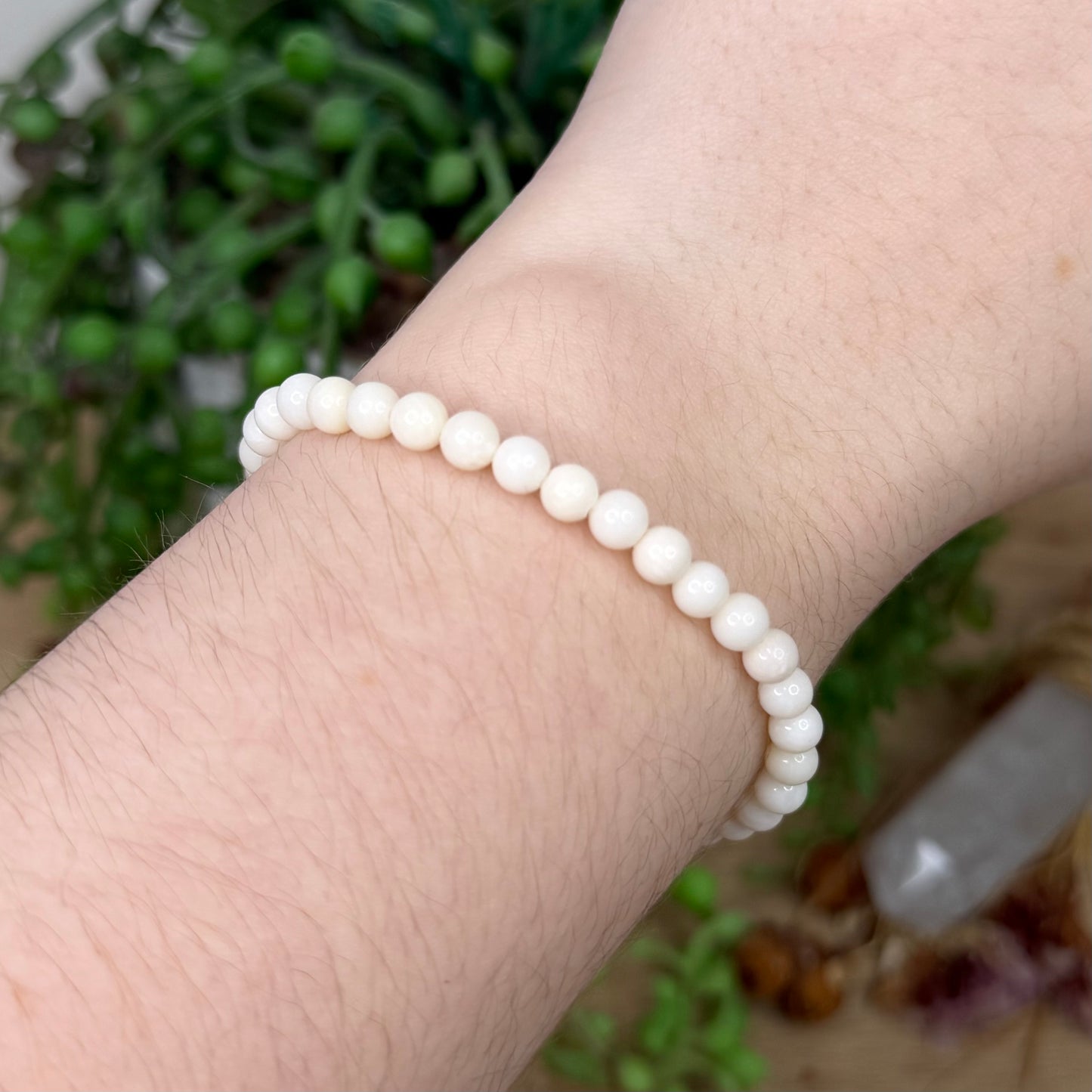 Shell Bracelet (X843) (X844)