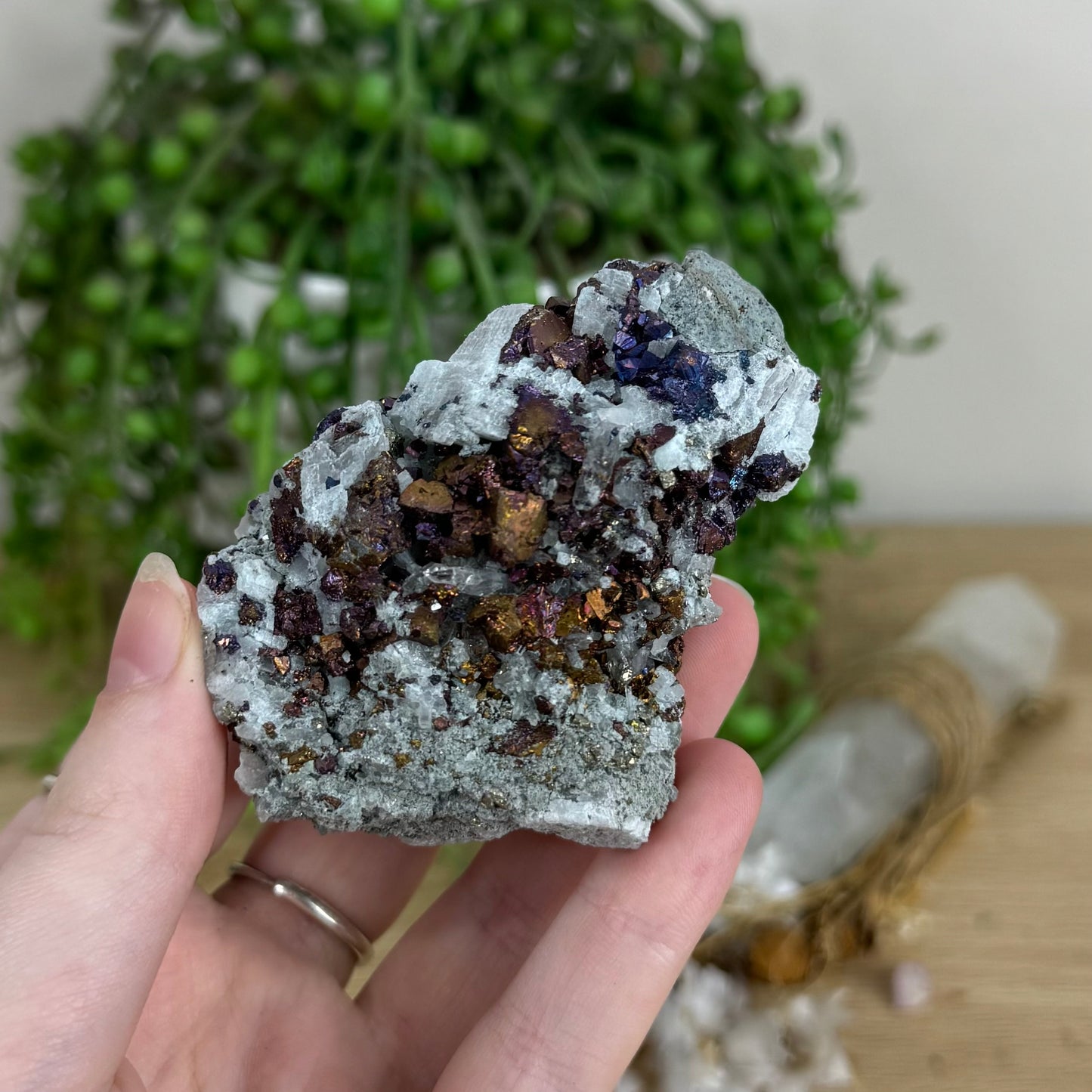 Bornite Cluster (O441)