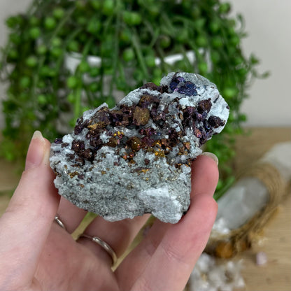 Bornite Cluster (O441)